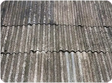 product-219-162